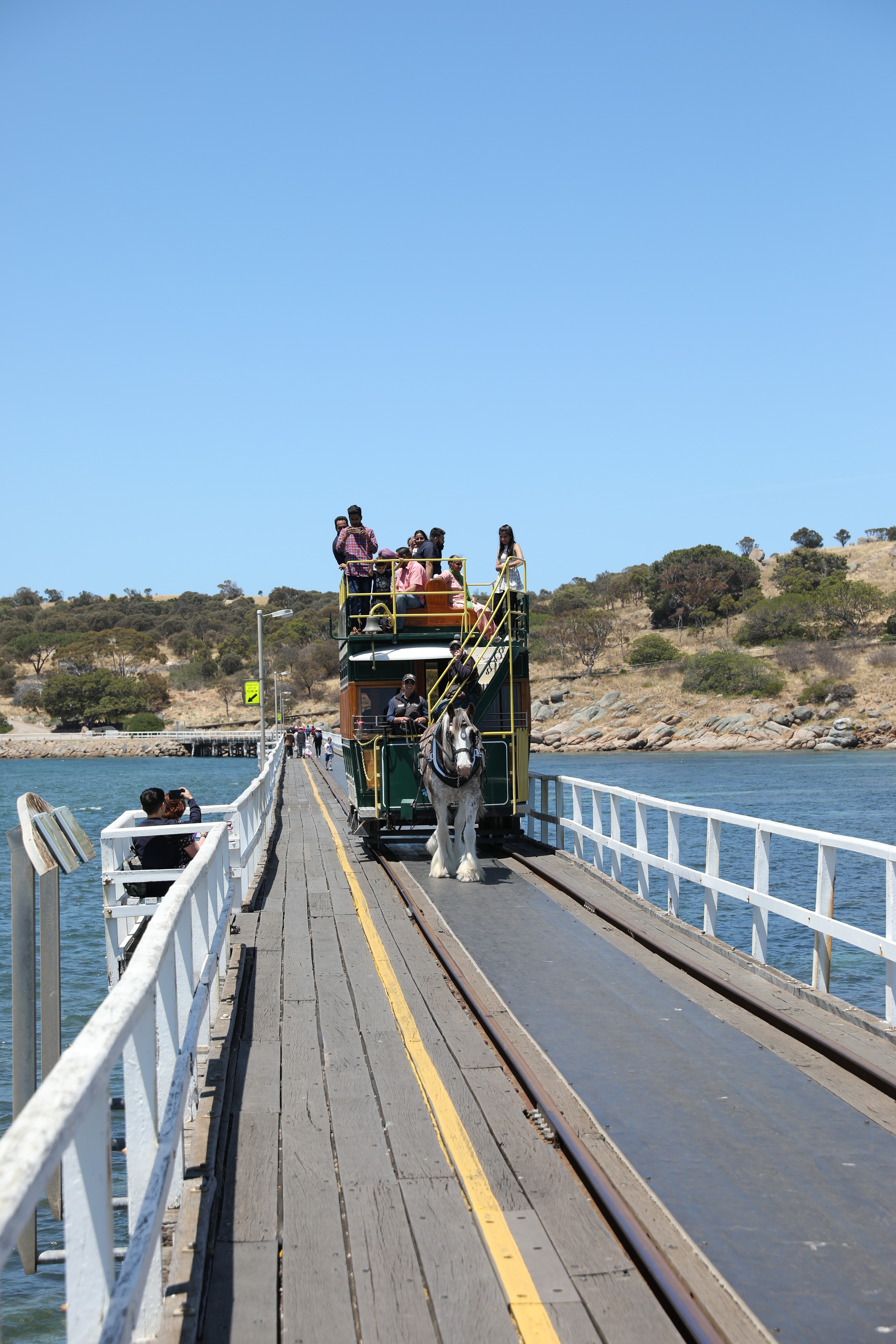 2019 11 24 12 40 47 Canon EOS 5D Mark IV 0002